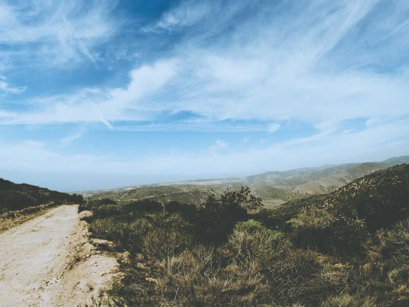 最后生还者<br>qyi4ujty.cn 真菌孢子危机